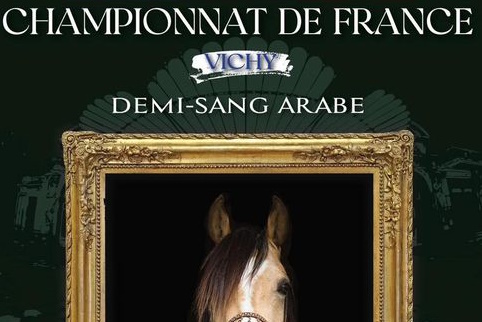 1er Championnat de France du demi-sang arabe